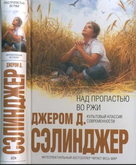 Вы сейчас просматриваете Над пропастью во ржи — читать онлайн, краткое содержание